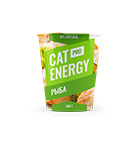 Cat Energy Fish Small